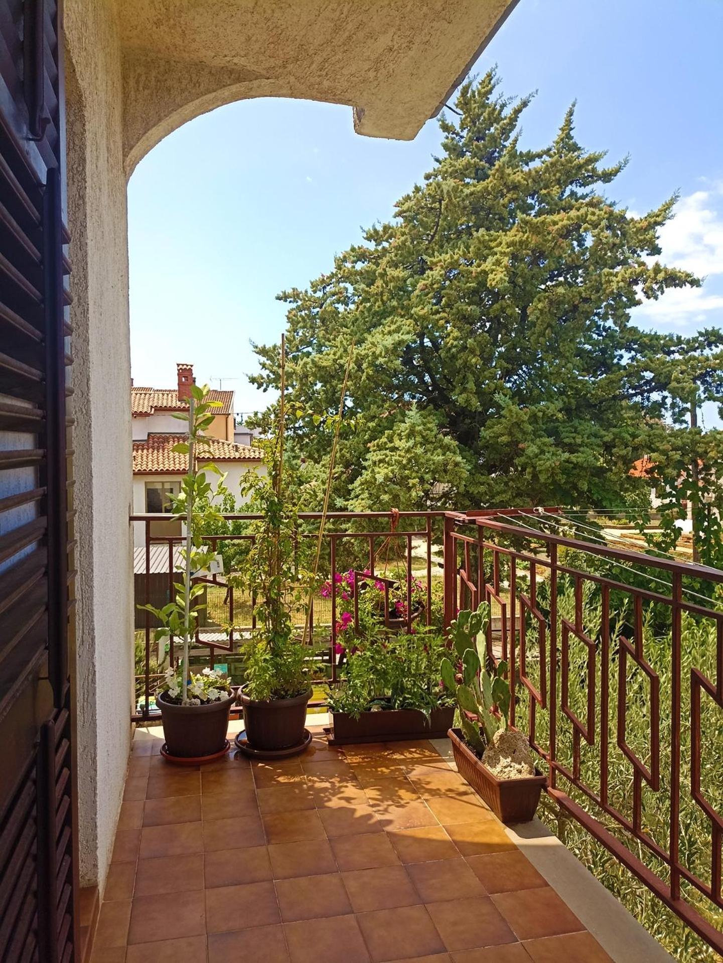 Apartments Villa Laura Пула Екстер'єр фото