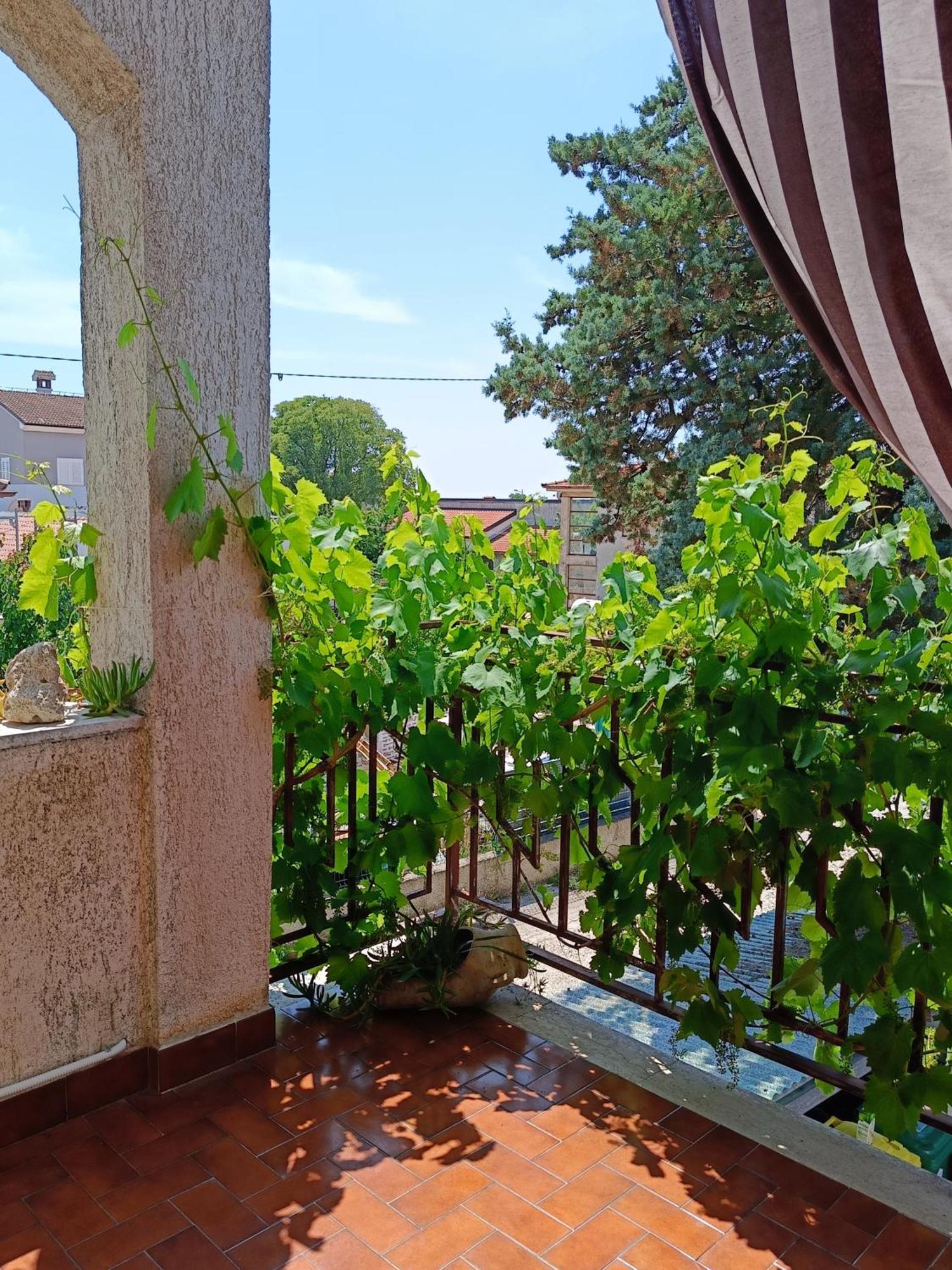Apartments Villa Laura Пула Екстер'єр фото