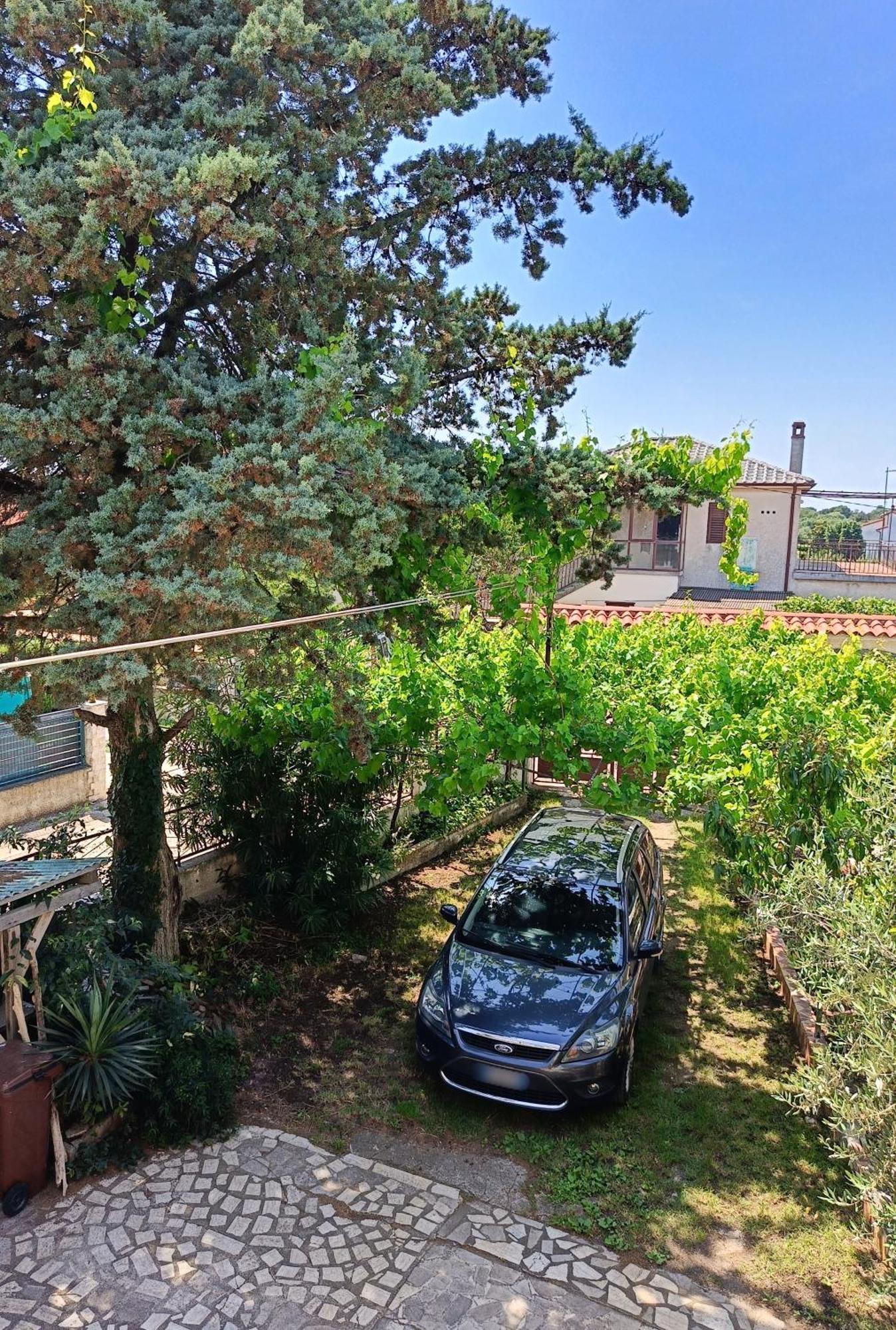 Apartments Villa Laura Пула Екстер'єр фото